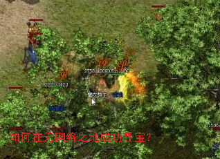 �����������֮�سɹ�Ѱ����