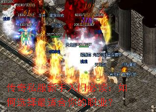 ����˽���������űض������ѡ�����ʺ����ְҵ��