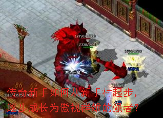 ����������δ����ִ��𲽣��𲽳ɳ�Ϊ����Ⱥ�۵�ǿ�ߣ�