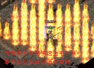 ����������ο������֣����㿪ʼ��ʵս��ͨȫ����