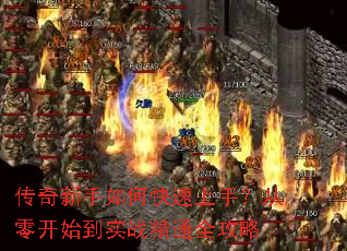 ����������ο������֣����㿪ʼ��ʵս��ͨȫ����