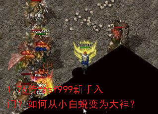 1.76����sf999�������ţ���δ�С���ɱ�Ϊ����