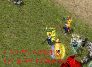 1.76����sf999�������ţ���δ�С���ɱ�Ϊ����