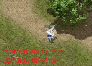 如何利用包服卡特权快速打造全服第一行会? 如何利用包服卡特权快速打造全服第一行会?