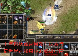 ǧ�����������δ���̽��������������ɭ�ֵ��ռ�ָ��