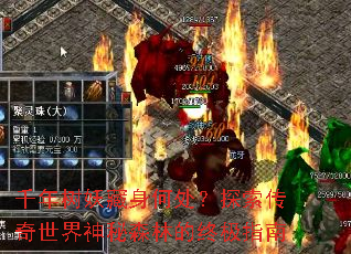 ǧ�����������δ���̽��������������ɭ�ֵ��ռ�ָ��