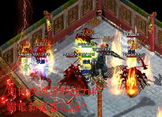 ��ο�������ս���ư���������˽����