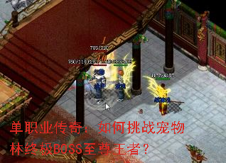 ��ְҵ���棺�����ս�������ռ�BOSS�������ߣ�