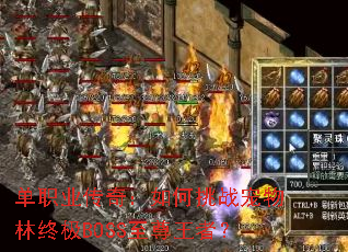 ��ְҵ���棺�����ս�������ռ�BOSS�������ߣ�