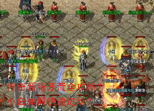 传奇新服开荒全攻略?小白如何快速进阶? 传奇新服开荒全攻略?小白如何快速进阶?