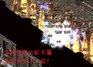 如何快速从新手屠龙后升至十八级? 如何快速从新手屠龙后升至十八级?