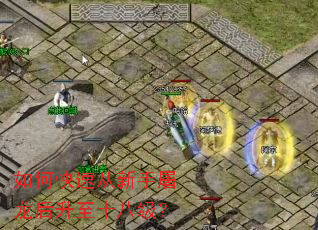 如何快速从新手屠龙后升至十八级? 如何快速从新手屠龙后升至十八级?