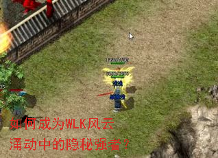 ��γ�ΪWLK����ӿ���е�����ǿ�ߣ�