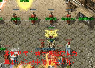 ��δӴ������ֿ��ٳɳ�Ϊ��ְҵ˽���еĶ����ʦ��