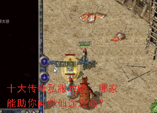 十大传奇私服攻略,哪家能助你问鼎仙途之巅? 十大传奇私服攻略,哪家能助你问鼎仙途之巅?