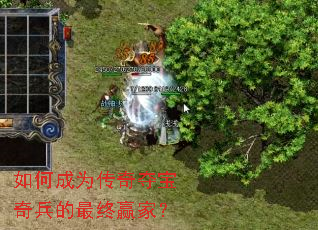 ��γ�Ϊ����ᱦ���������Ӯ�ң�