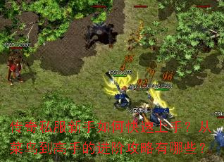 传奇私服新手如何快速上手?从菜鸟到高手的进阶攻略有哪些? 传奇私服新手如何快速上手?从菜鸟到高手的进阶攻略有哪些?