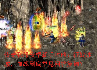 ����˽����׿���ֹ��ԣ���սɳ�ǣ�Ѫս���׳����ʴ𼯽���