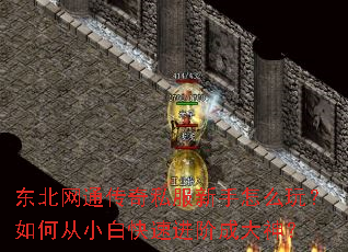 东北网通传奇私服新手怎么玩?如何从小白快速进阶成大神? 东北网通传奇私服新手怎么玩?如何从小白快速进阶成大神?