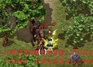 ��λ�ȡ��̬�����ܳף�����˽������ȫ�������籩Ϊ��ϯ���귨��½��