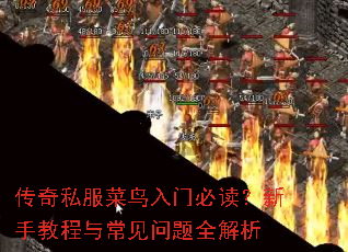 ����˽���������űض������ֽ̳��볣������ȫ����