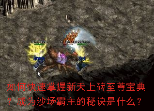 ��ο������������ϱ����𱦵䣿��Ϊɳ���������ؾ���ʲô��