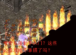 传奇私服新手入门?这些必看攻略你掌握了吗? 传奇私服新手入门?这些必看攻略你掌握了吗?