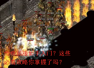 传奇私服新手入门?这些必看攻略你掌握了吗? 传奇私服新手入门?这些必看攻略你掌握了吗?
