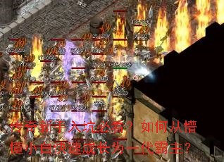 传奇新手入坑必看?如何从懵懂小白快速成长为一代霸主? 传奇新手入坑必看?如何从懵懂小白快速成长为一代霸主?