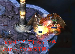 ������ѧ����ʲô����Щ���Լ�������������