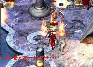 如何击败雷炎洞双蛛boss? 如何击败雷炎洞双蛛boss?