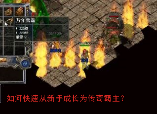 如何快速从新手成长为传奇霸主? 如何快速从新手成长为传奇霸主?