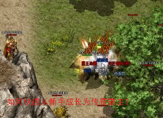 ��ο��ٴ����ֳɳ�Ϊ���������