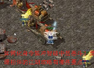 ��λ�����������������񶷣���ɺ���Ľ�����������ЩҪ�㣿