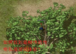 如何找到最畅快的传奇私服游戏体验? 如何找到最畅快的传奇私服游戏体验?