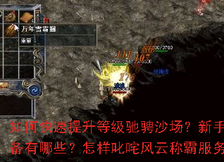 如何快速提升等级驰骋沙场?新手必备装备有哪些?怎样叱咤风云称霸服务器? 如何快速提升等级驰骋沙场?新手必备装备有哪些?怎样叱咤风云称霸服务器?