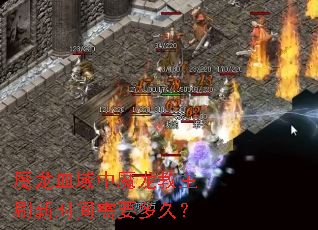 ħ��Ѫ����ħ������ˢ��ʱ����Ҫ��ã�